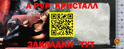 стафф Дубна