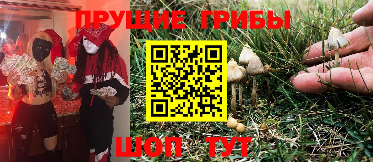 Галлюциногенные грибы мицелий  Вход с VPN  Гулькевичи 